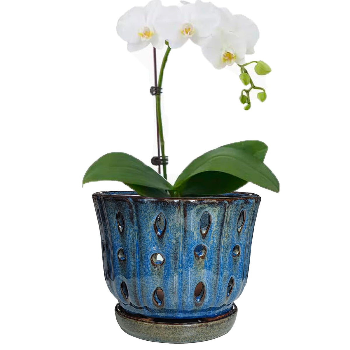 Grdthzey 6 inch Round Ceramic Orchid Pot with Holes Orchid Planter (Dark Blue)