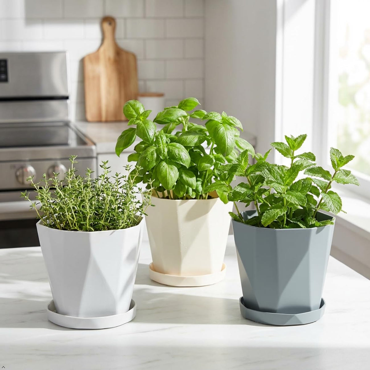 JPORSHU Plant Pots 6.3 inch 3 Pack Indoor Plastic Flower Pots,with Drainage Holes and Saucers Plastic Flower Pot Set Indoor Outdoor for Garden (Medium)