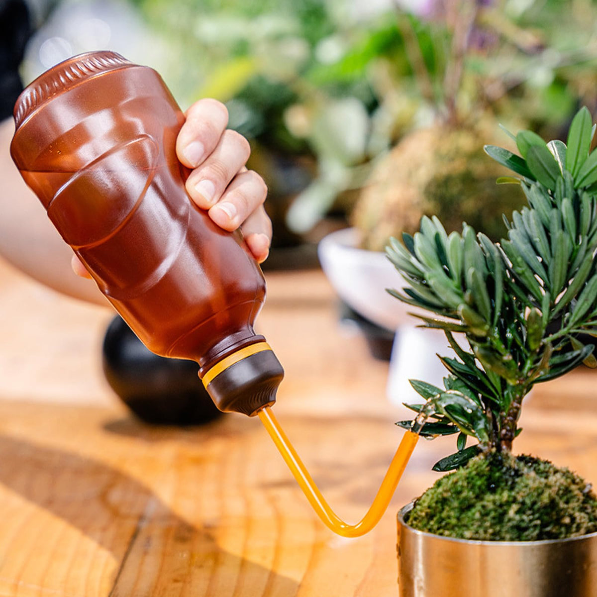 Watering Can for Seedlings, Tiny Watering Bottle for Small Desk Plants Andsucculent Plants 0.45L (Brown)