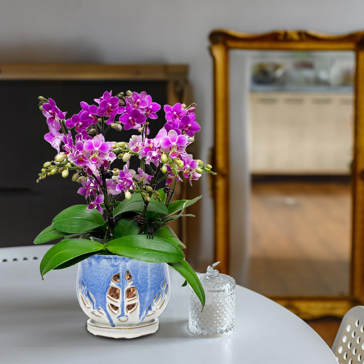 W&W Orchid Pot with Holes and Saucer for Repotting and Better Grow, Blue and White, 6.5 Inches