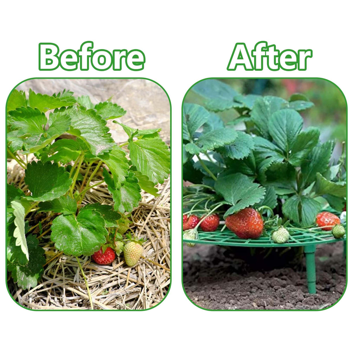 Iceyyyy 5 Pack Strawberry Plant Support - Strawberry Growing Racks with 4 Sturdy Legs - Strawberry Growing Frame Keep Berries Clean