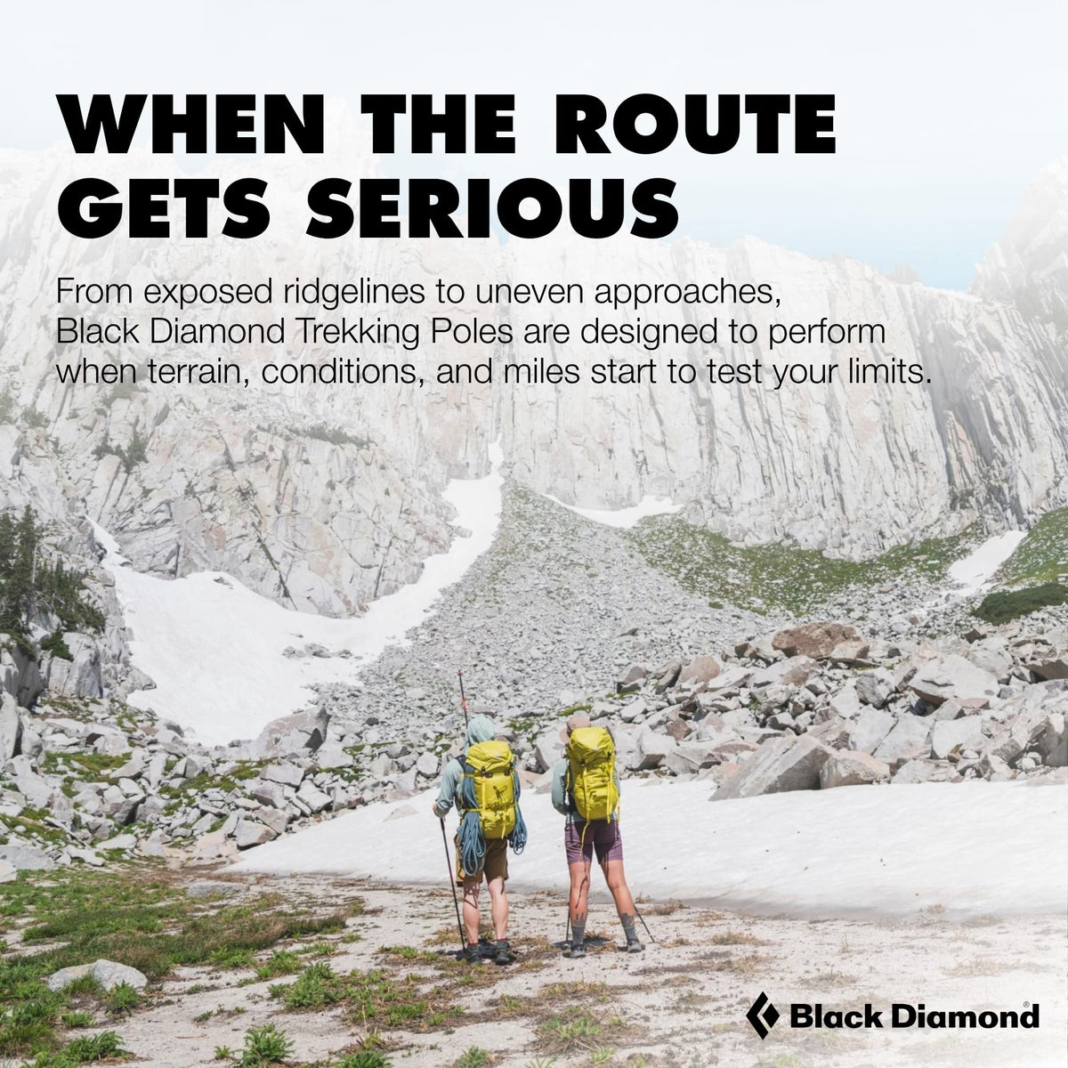 BLACK DIAMOND Pursuit Shock Trekking Poles (Pair)| Shock-Absorbing Design | Adjustable Aluminum | for Hiking & Backpacking | Steel Grey-Foam Green