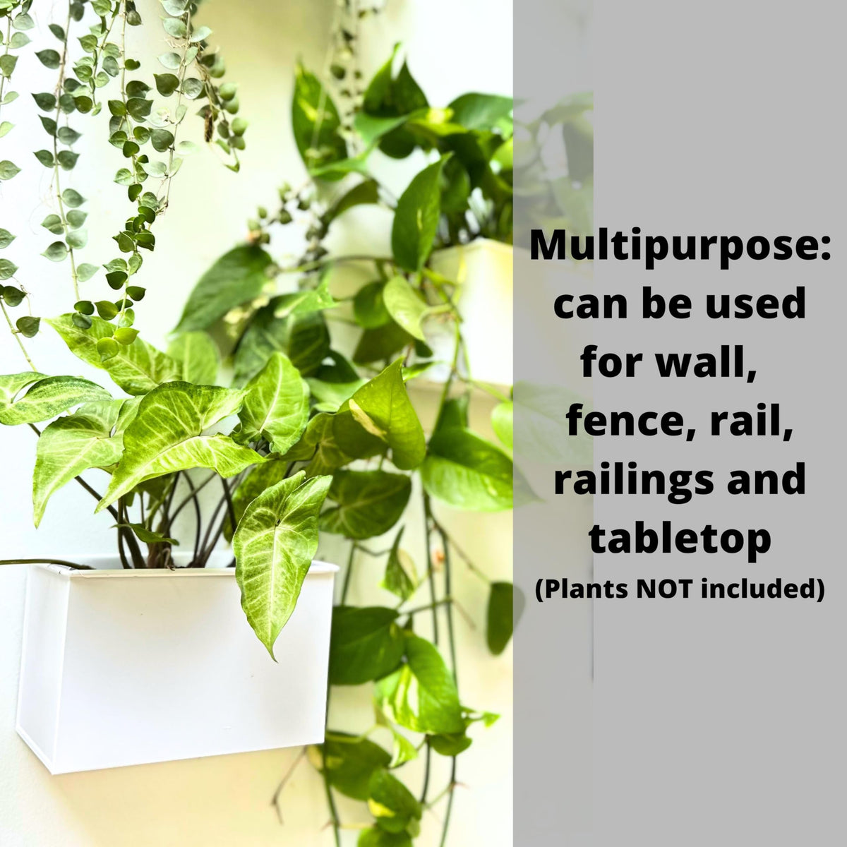 LaLaGreen Wall Planter - 3 Pack, 6 Inch Wall Mount Planters for Succulents White, Rectangular Metal Hanging Flower Pot, Window Box Fence Railing Air Plants Holders Plant Shelf Indoor Rustic Decor