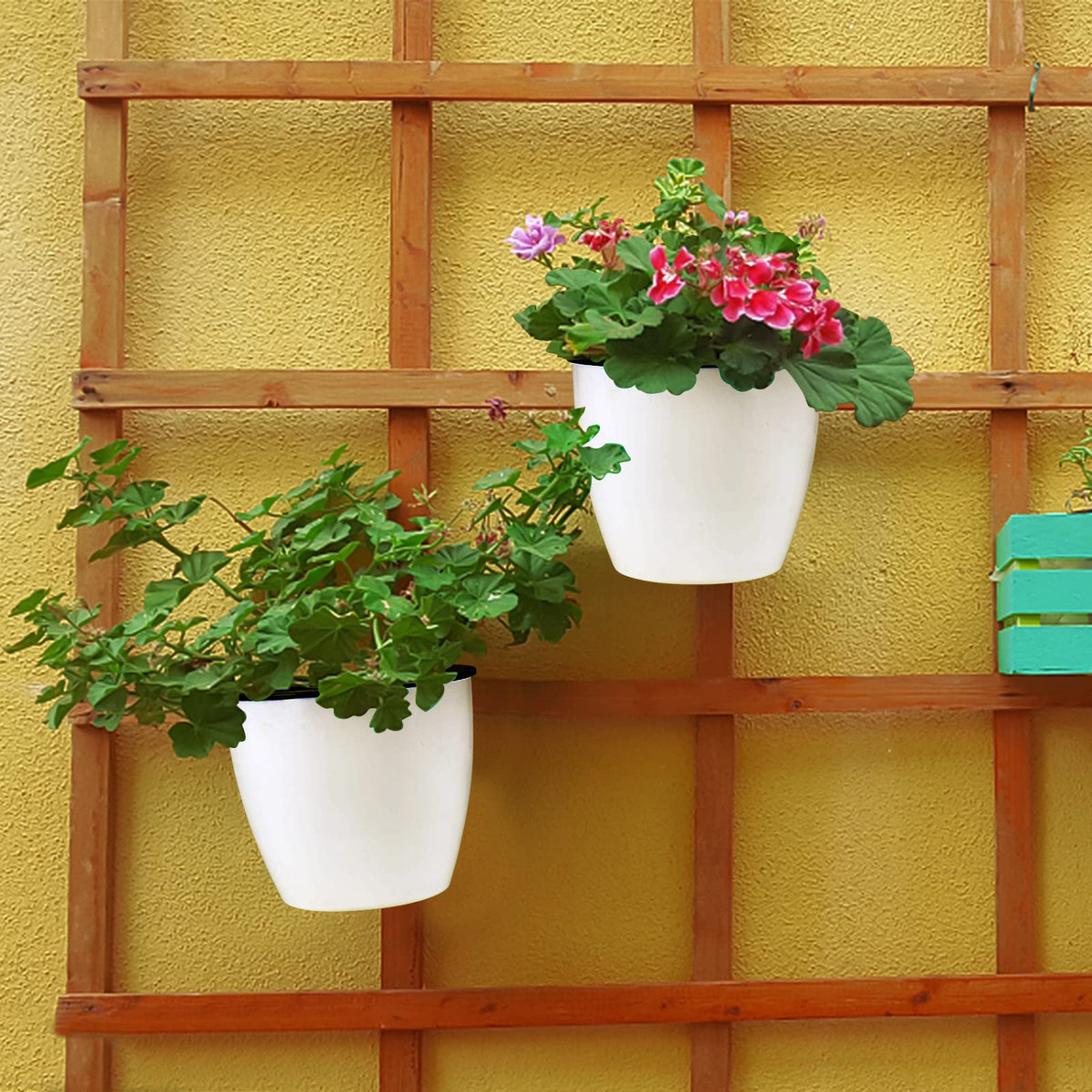 JAPCHET 8 Pack 7 Inch Self Watering Hanging Planters, Wall Hanging Plastic Planter Pot with 8 Hooks, Lazy Flower Pots for Indoor Outdoor Window Wall Plants, White