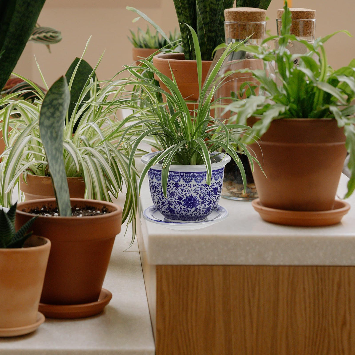 DOITOOL Blue and White Ceramic Planter Pot Chinese Ceramic Flower Pots Oriental Planter Decorative Succulent Plant Pot with Trays for Balcony Yard Home Decoration