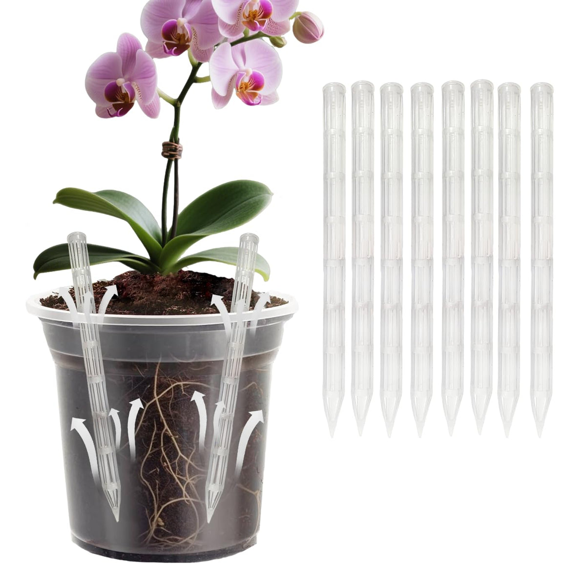 Belit 8 Pcs Plant Root Ventilation Stakes, Breathable Stake Beneficial for Root Respiration, Potted Plants Prevent Root Rot