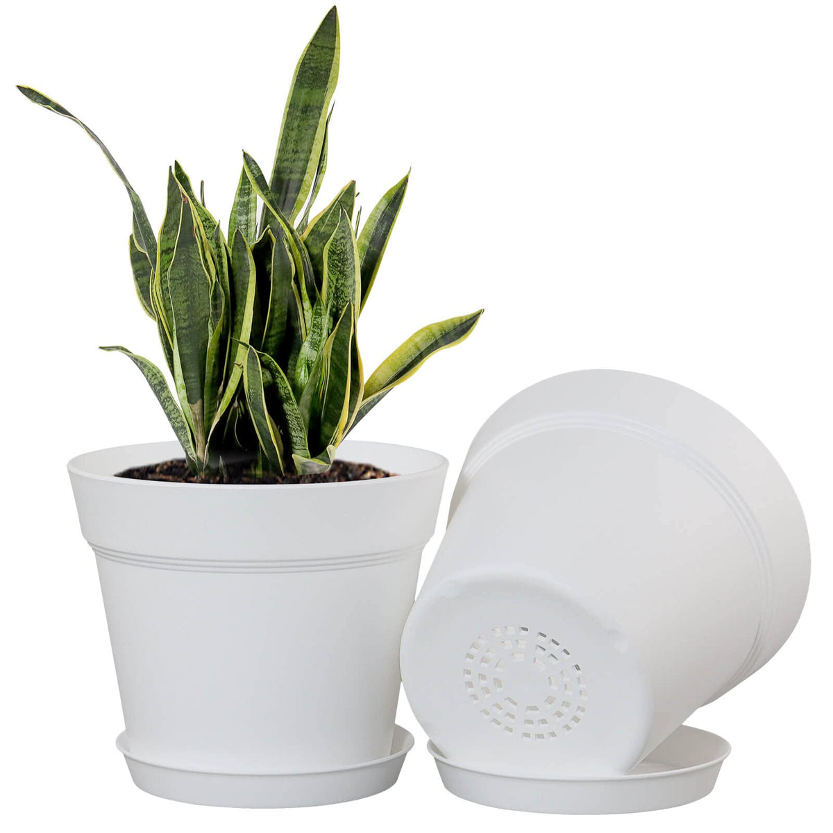 WOUSIWER 16 Pack 6 inch Plastic Planters for Indoor Flower Pots, Heavy Duty and Stylish 6 Inch Plant Pots for Indoor Plants with Drainage Holes and Tray for Plants, Flowers, White