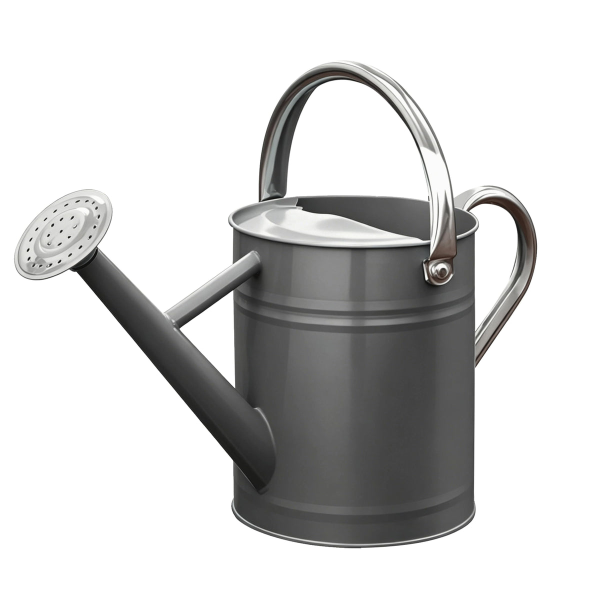 SunnyTong Metal Watering Can for Outdoor and Indoor Plants, Watering Can Decor, 1 Gallon (Gray)