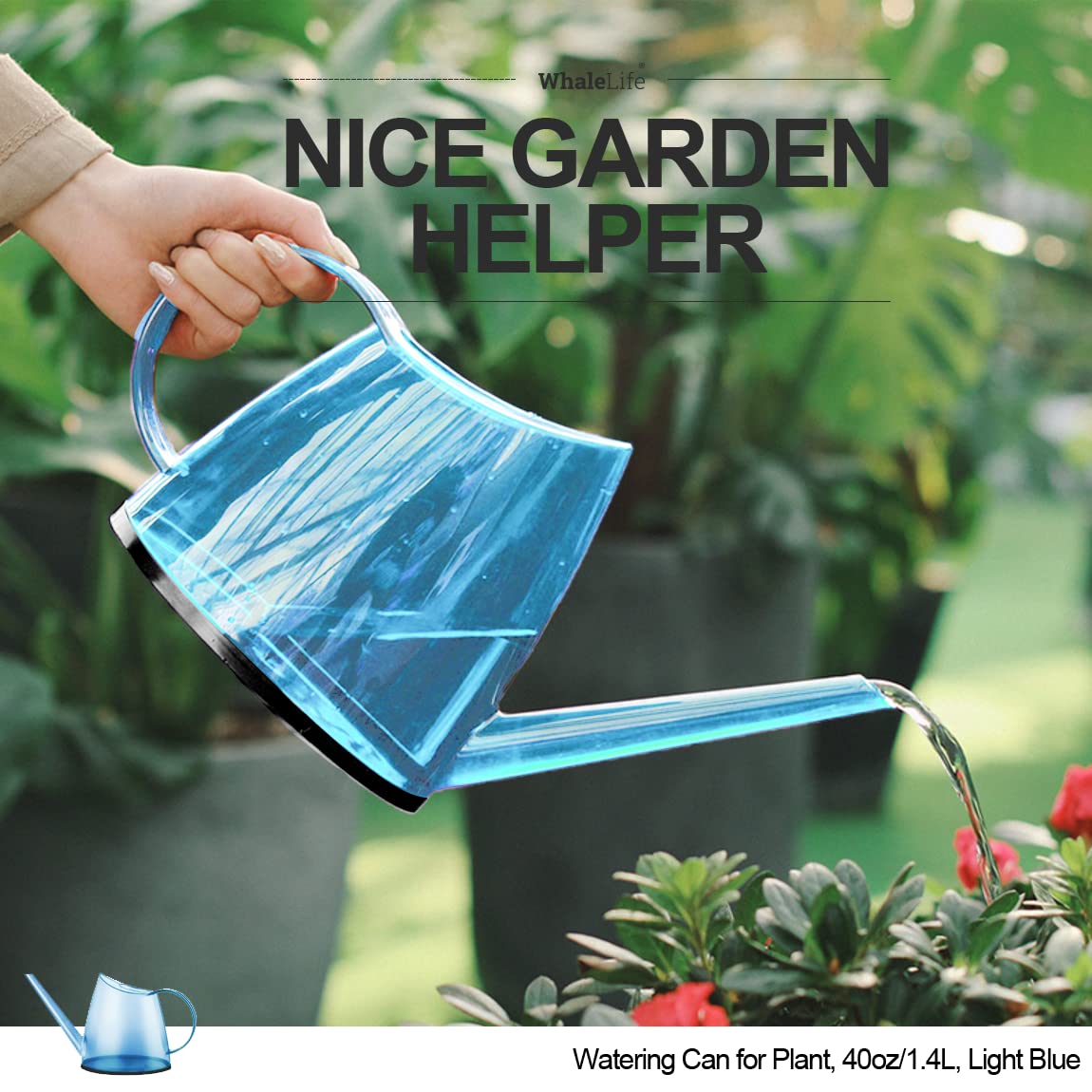 WhaleLife Indoor Watering Can for House Bonsai Plants (1.4L, Light Blue)