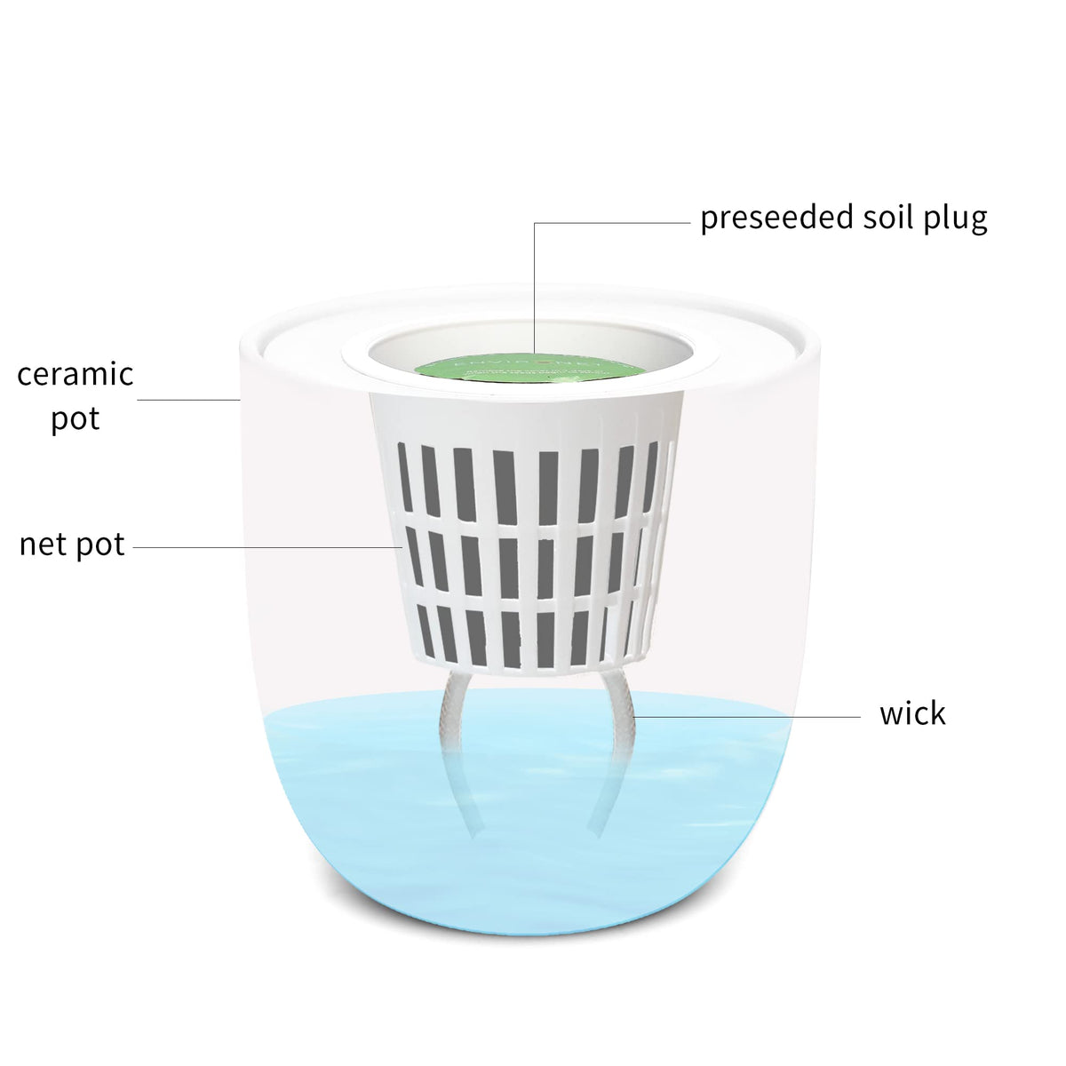 Environet Hydroponic Herb Growing Kit, Self-Watering Kitchen Herb Garden Starter Kit with Organic Seeds (Lavender)