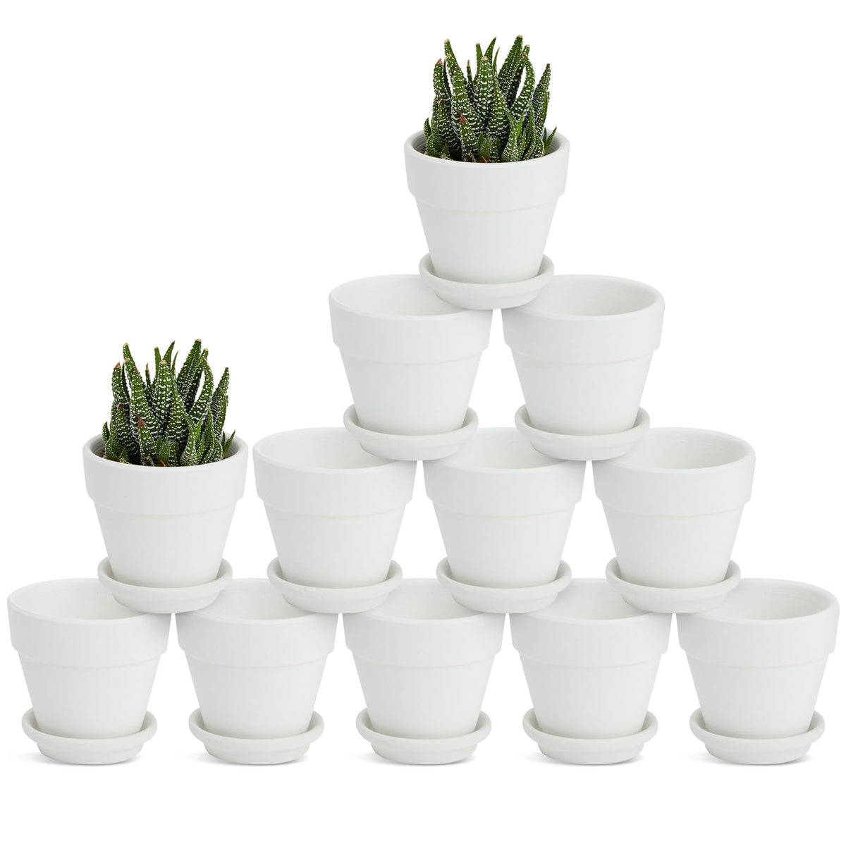 Juvale Mini Terracotta Pots - Pot with Drainage Hole - Versatile Succulent & Herb Planter - Paintable White Planter for Custom Decor - Pack of 12, White, 2.9 x 2.9 x 2.5 in