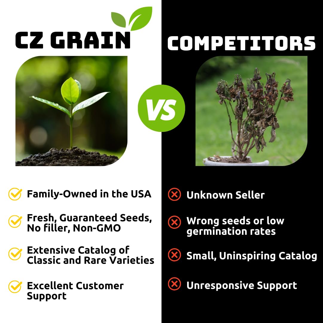 Ruby Giant Strawberry Plants – Extra Large Sweet Strawberries – High Yield Strawberry Runners – Big Fruit, Easy to Grow Plants for Home Gardens (50 Plants)