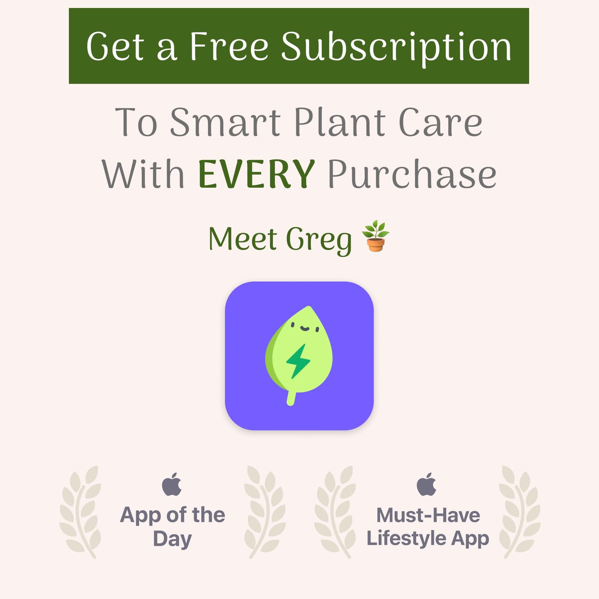 American Plant Exchange Lime Sweet Potato Vine – 6-Inch Pot – Live Trailing Foliage Plant, Fast-Growing Ornamental Vine for Hanging Baskets, Patio Containers & Garden Borders