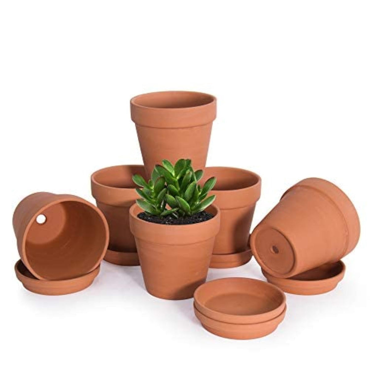 D'vine Dev Pack of 6 Terracotta Pots with Saucers, 4 Inches Terra Cotta Pots with Tray, Clay Pots for Plants & Succulents, Terracotta, 588-A-1-4