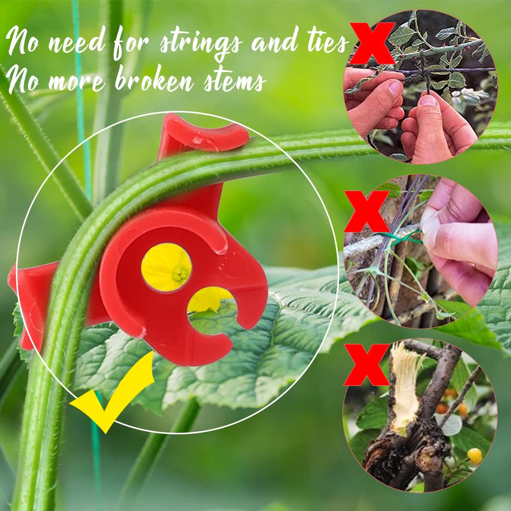 LucyPhy 30 Pack Plant Bender Angle Adjustable Plant Training Clips Low Stress Training Clips 90 Degrees Plant Stem(Circle Style,Red)