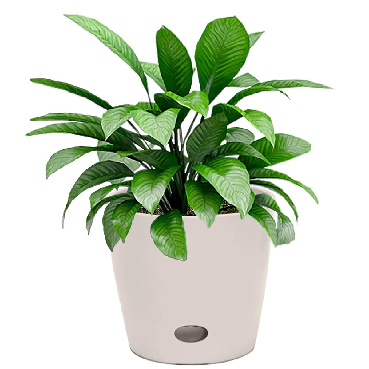7 Inch Self-Watering Bamboo Planter (Cream) - Round - Bamboo Fiber - No Overwatering or Root Rot