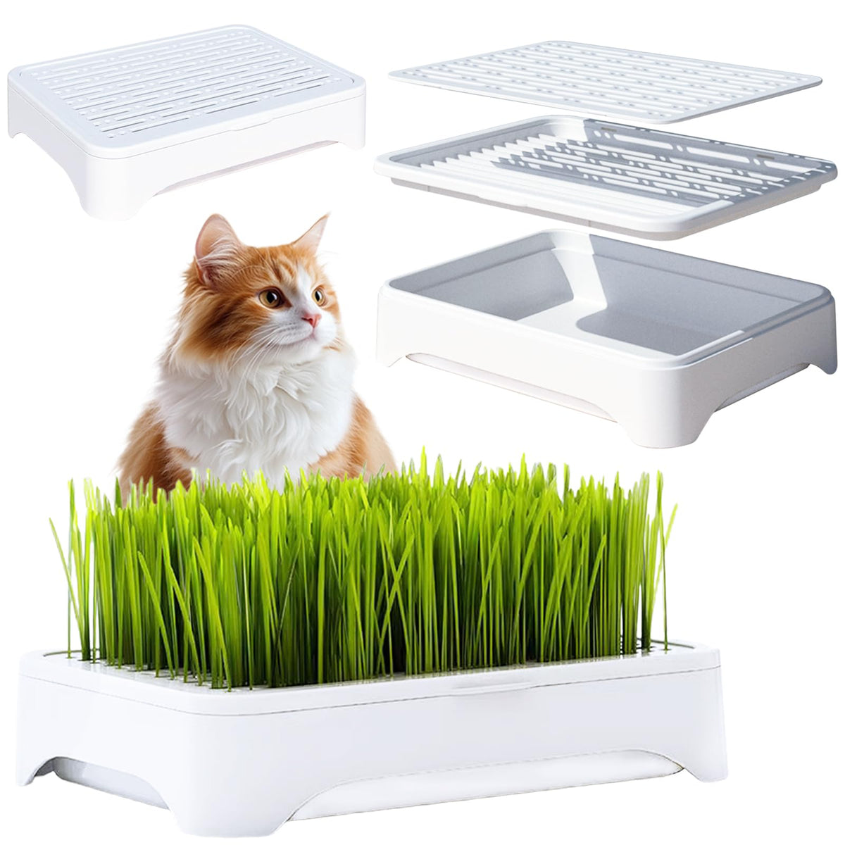 YjiaYjiaY 2-Pack Cat Grass Planter (No Seeds Included), Tri-Section Design, Anti-Pull Out Cat Grass Seed Starter Tray, Sprouts Growing Kit, Microgreens Growing Trays