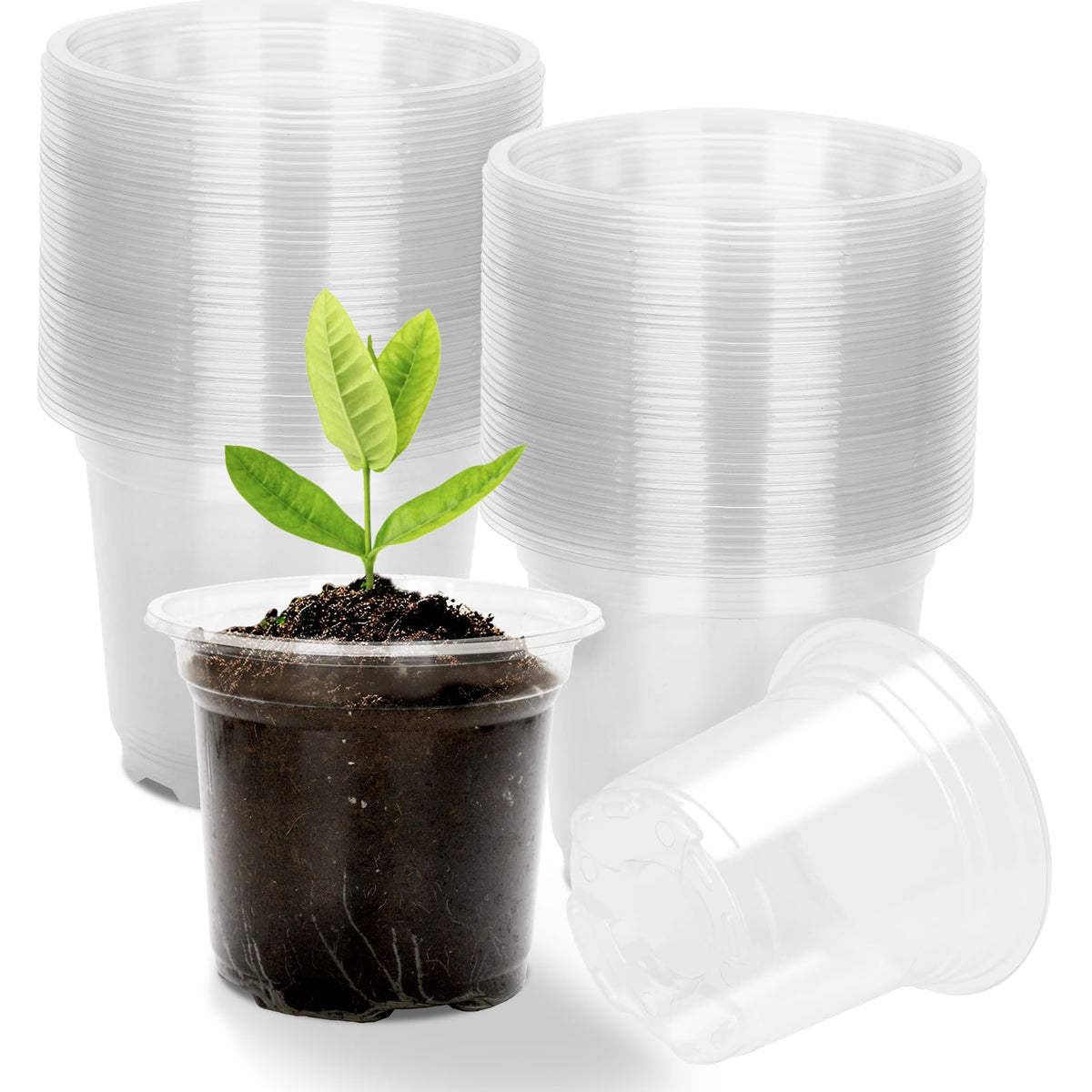 KINGLAKE 4 Inch Clear Plant Nursery Pots with Drainage Hole,36 Pcs Plastic Clear Nursery Pots for Plants,Transparent Planter Nursery Pots for Potting Seed Cutting Succulent Indoor Outdoor Plants