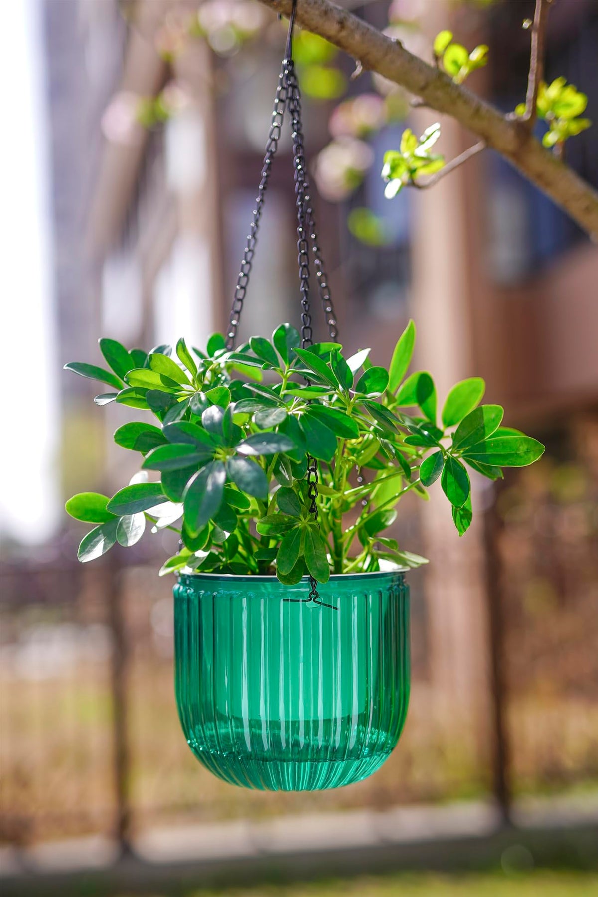 Melphoe 2Pack 6.5'' & 1Pack 8.3'' Self Watering Hanging Planters
