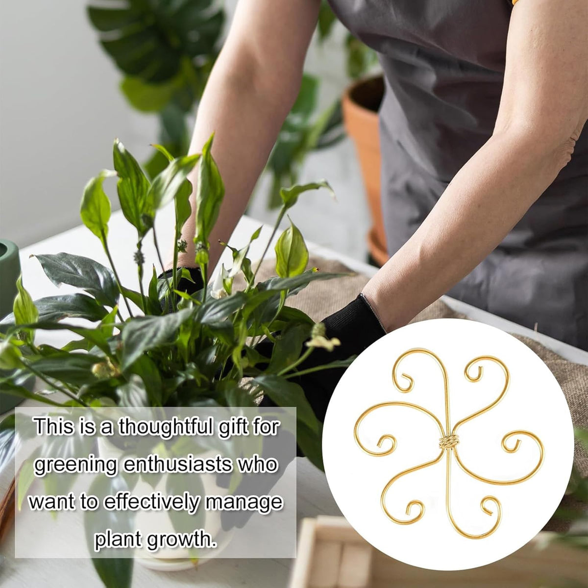 5 Pcs Plant Stem Support, Iron Monstera Plant Support, Durable Hook Stem Supports for Healthy Growth, Bamboo Clamp Set for Leaf Stabilization and Support, Ideal Present for Plant Lovers