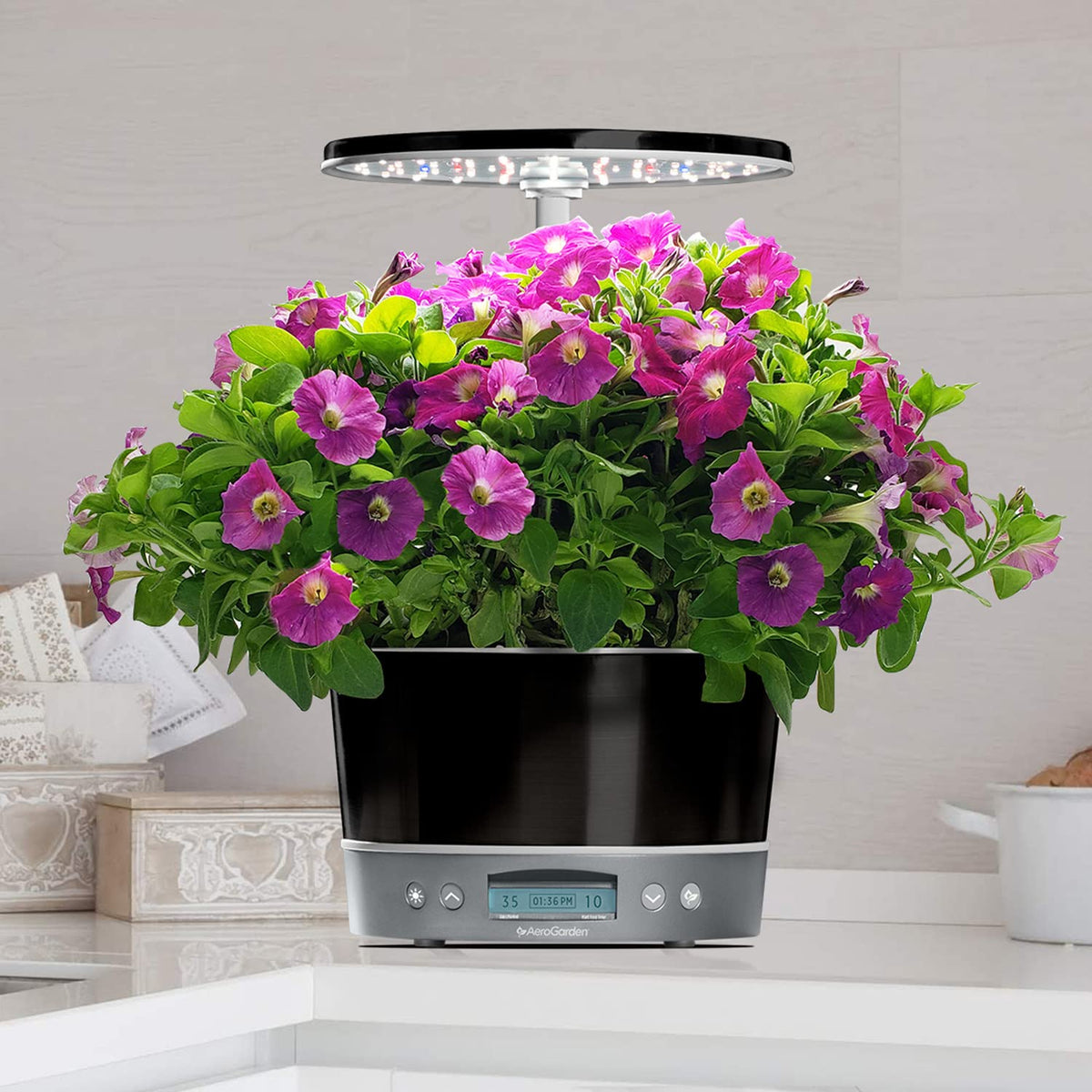AeroGarden Harvest Elite 360 Indoor Garden Hydroponic System with LED Grow Light and Herb Kit, Holds up to 6 Pods, Platinum