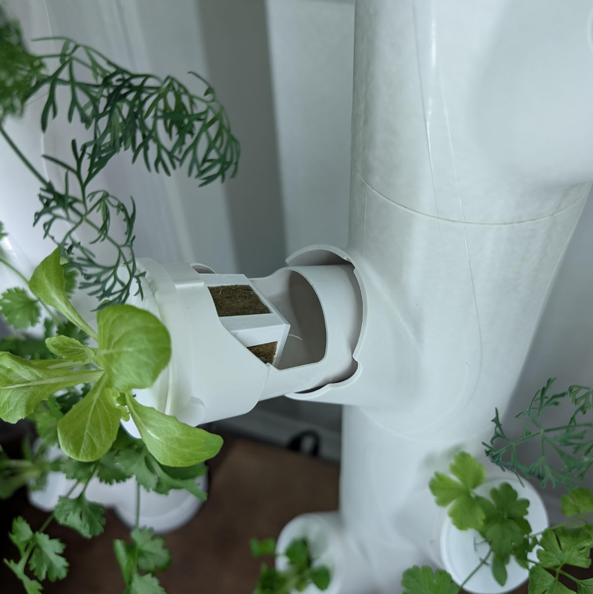 Grow Cubes for Hydroponic System/Compatible with Gardyn (10 Cubes+Rockwool)