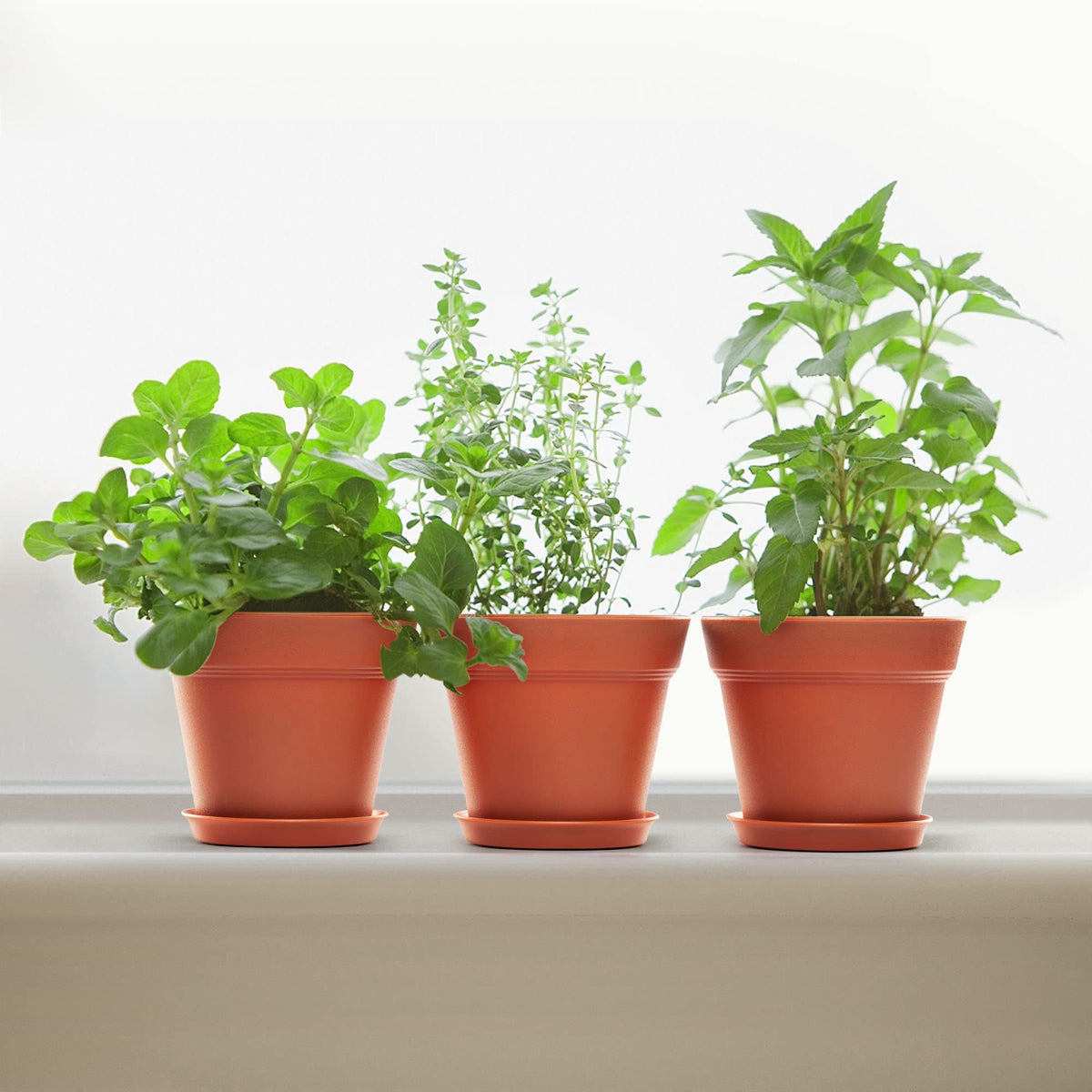 FHWTY 6 Pack 7in Plastic Plant Pots Black & 6 Pack 7in Plastic Plant Pots Terracotta