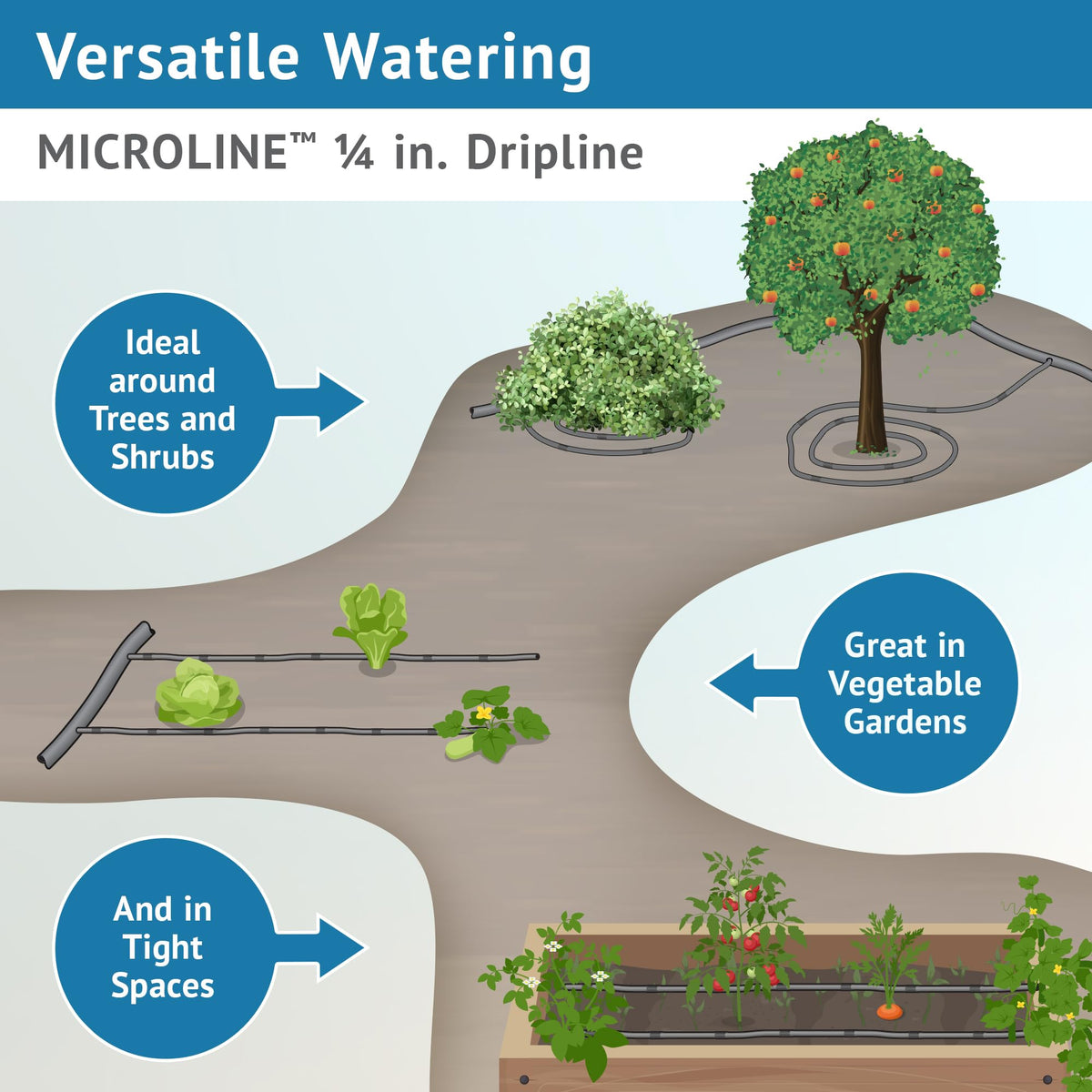 DIG ML-056, 50’, ¼” Microline™ Dripline - Enhanced 6” Emitter Spacing, UV-Resistant, Perfect for Diverse Garden Layouts (Black)