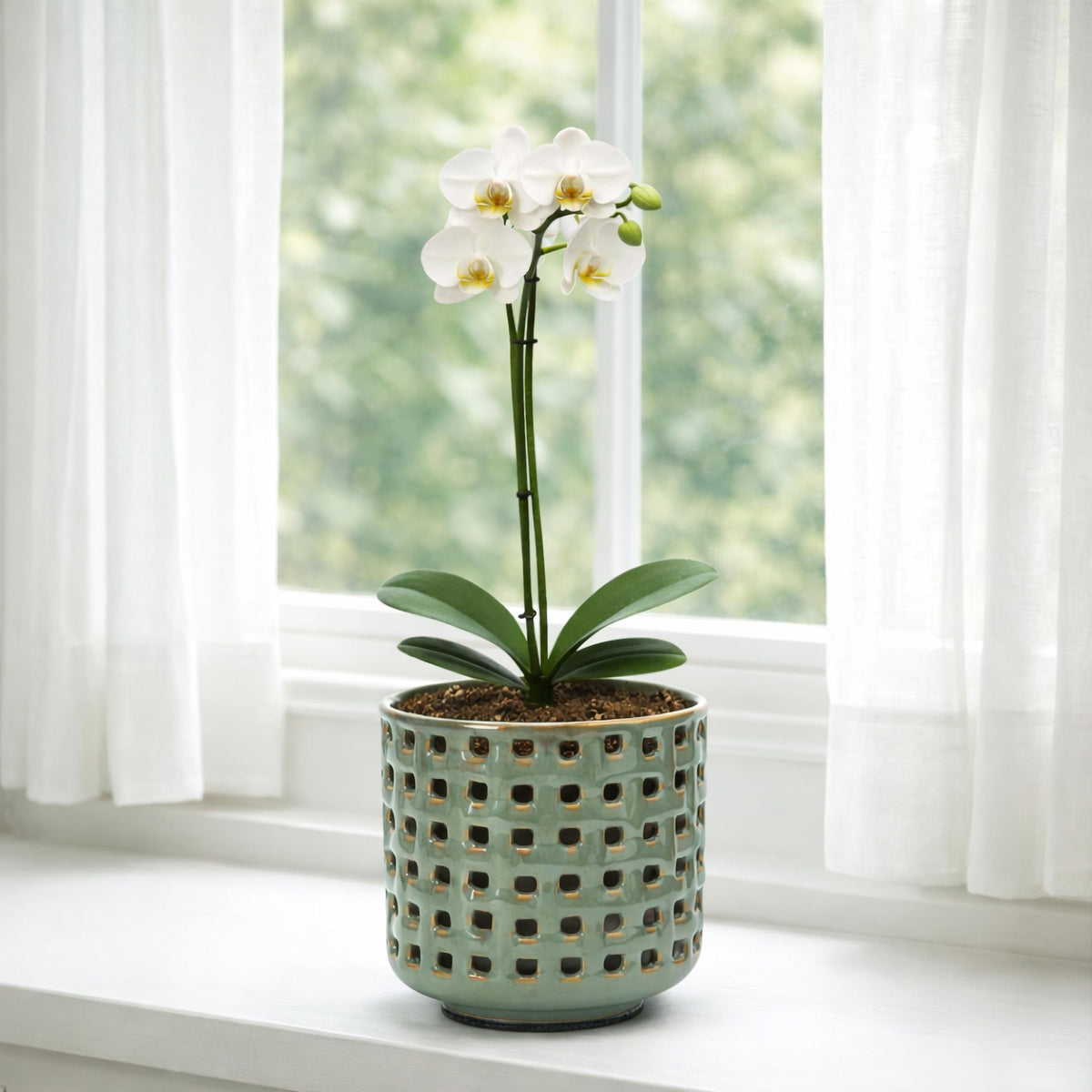 D'vine Dev 4.5 Inch Ceramic Orchid Planter with Lattice Cutout Design, Glazed Cachepot with Clear Nursery Pot & Detachable Saucer for Orchids and Indoor Plants, Olive, 28-A-Z-4