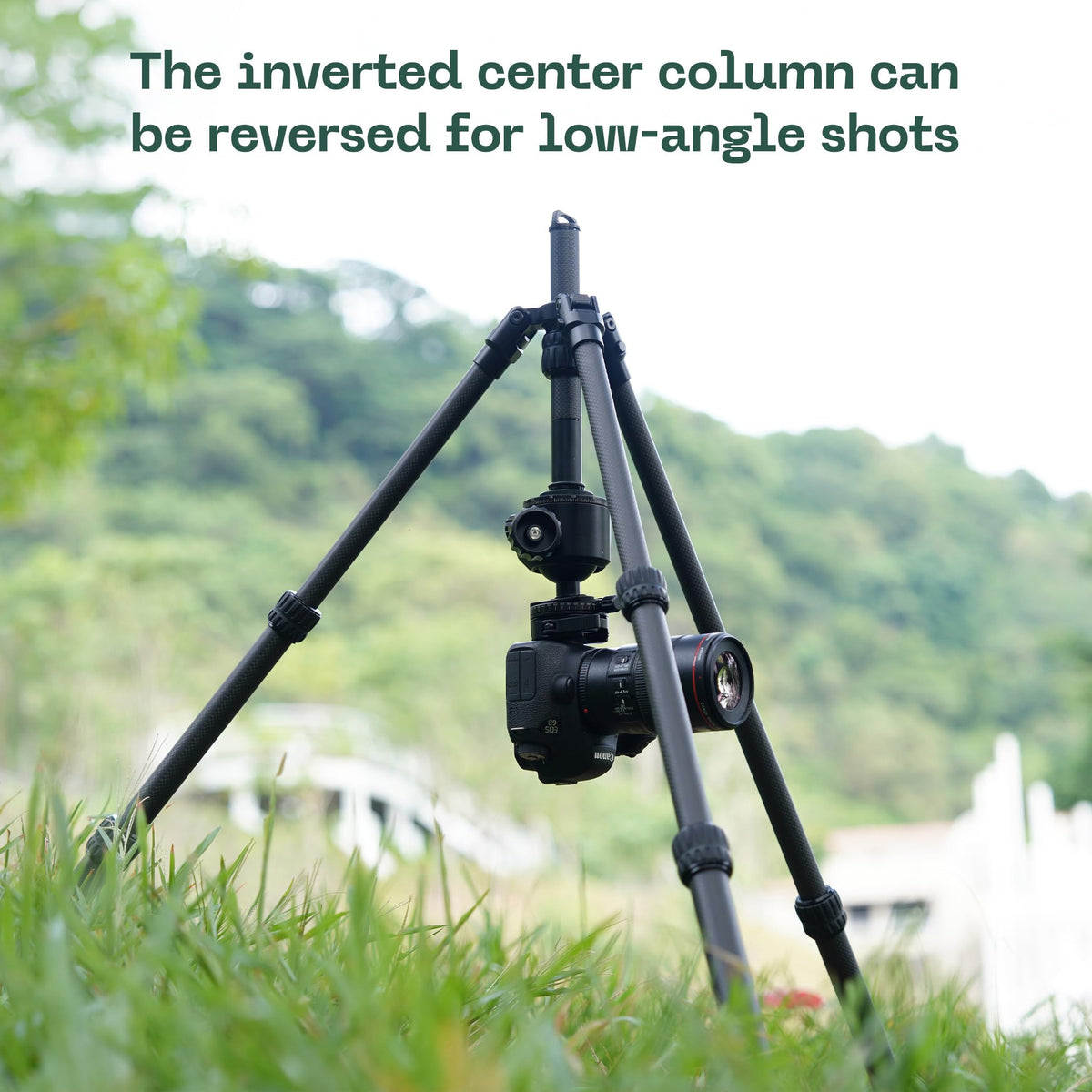 FANAUE Binocular Tripod, 42" Carbon Fiber Tripod Stand with Reversible Center Column, 1/4 and 3/8 Thread for Telescope, Spotting Scopes, DSLR Camera