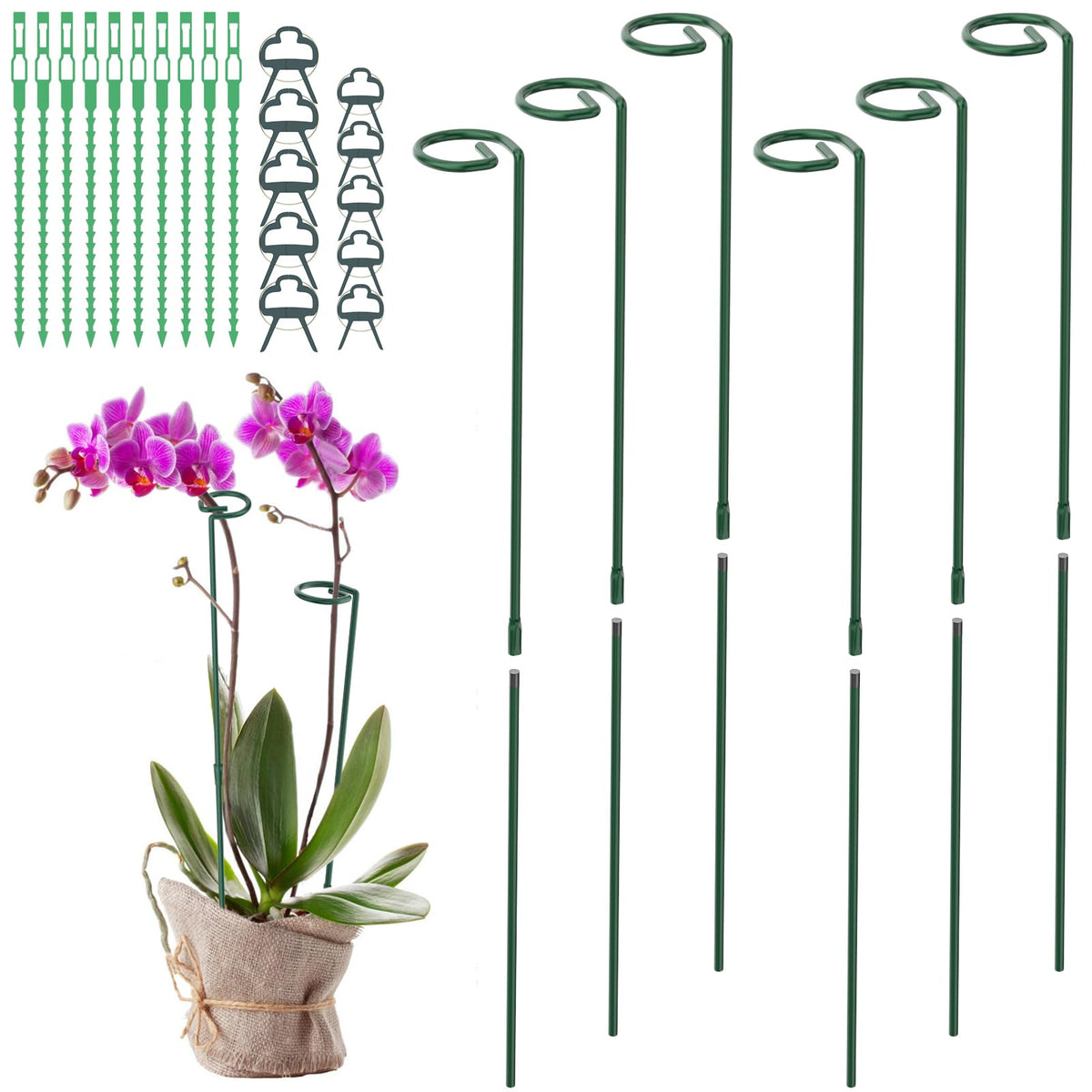 Plant Stakes for Indoor Outdoor Plants, 6 Packs 31.5 inches Plant Support Stakes with Twist Ties and Clips, Climbing Plant Sticks Garden Flower Stakes Support Hoops for Tomato, Pepper, Peony