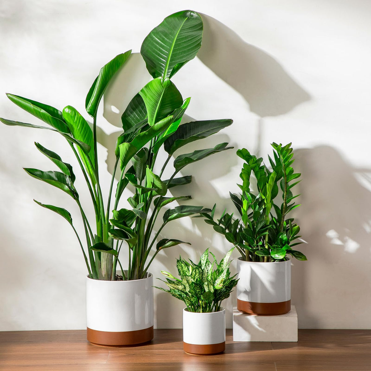 vancasso 6"+8"+10" Ceramic Pot for Plants, Large Outdoor Indoor Planter Pots with Drainage Holes, Set of 3, Khaki