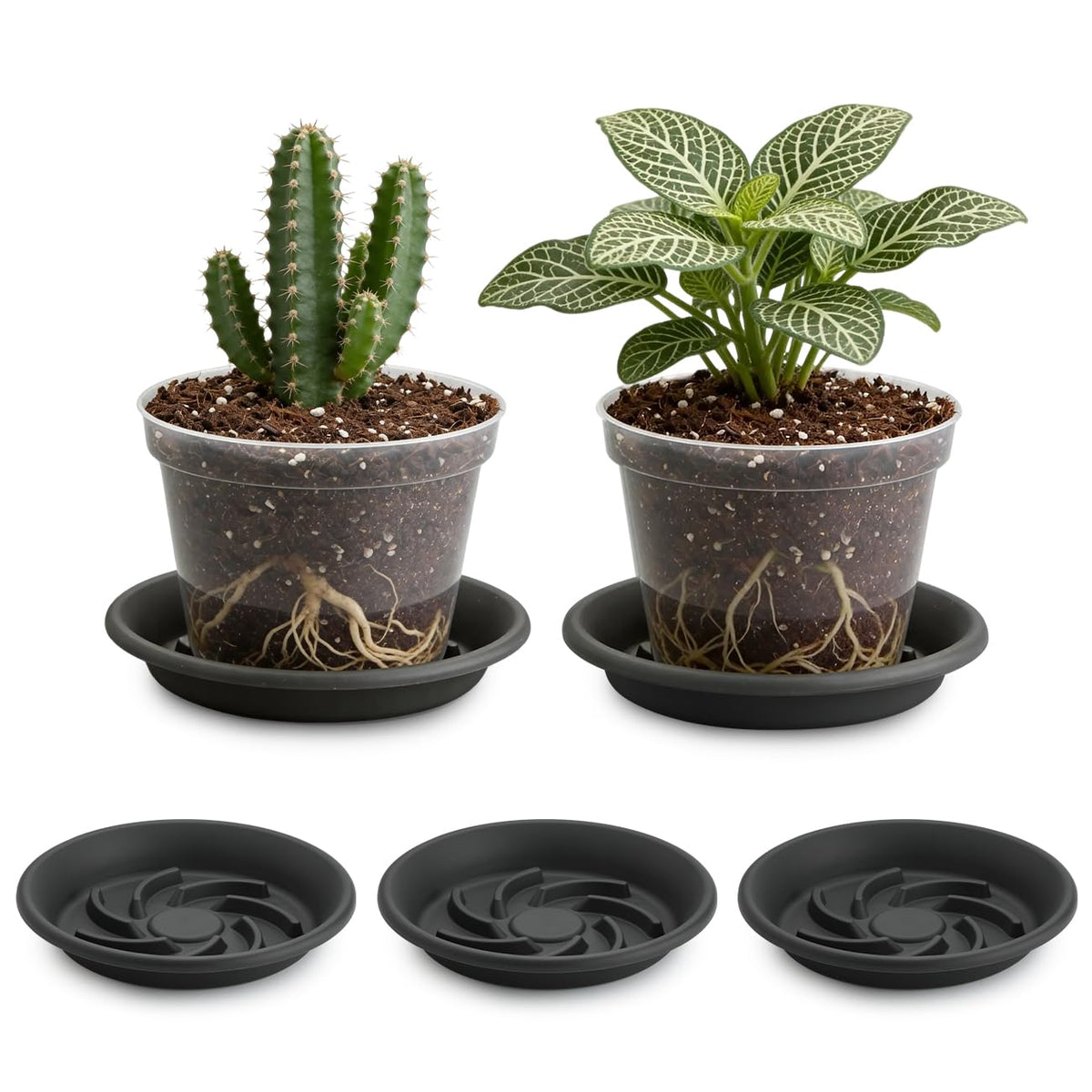 BTPLASTIK Plant Saucer 8 inch 5 Pack, Pot Elevators for Inside Plants, Heavy Duty Flower Planter Drip Trays for Pots, Grow Bags Saucers Gray