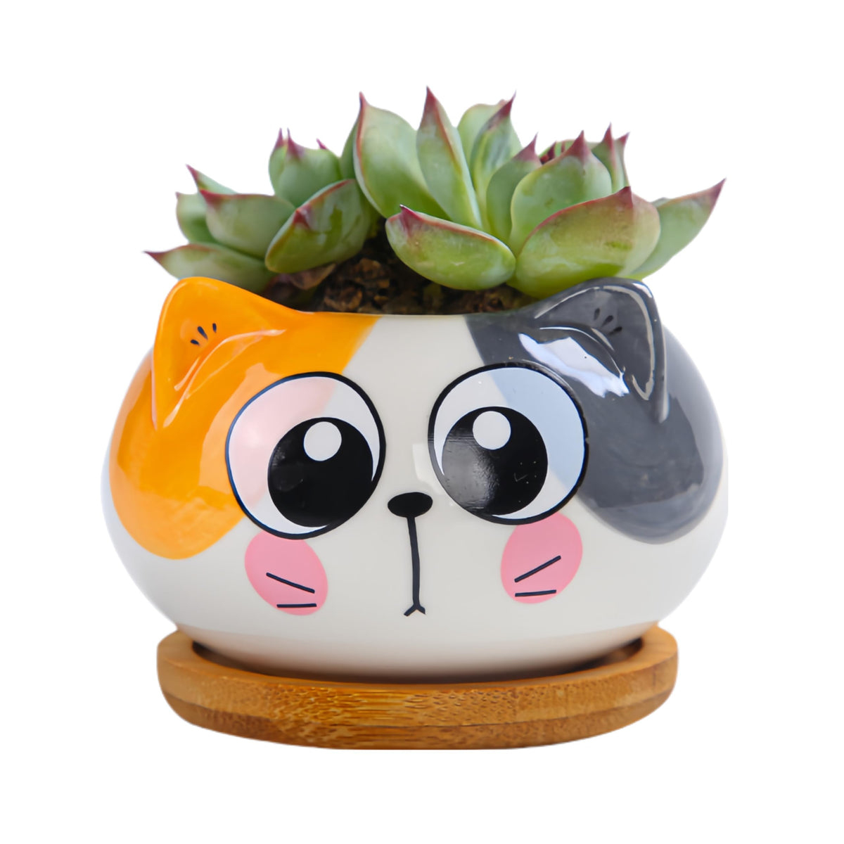 Cuteforyou Cute 3.5 Inches Indoor Cartoon Animal Cat Shaped Ceramic Succulent Cactus Flower Plant Pots with Bamboo Tray-Plant Not Included (6 Corlors)