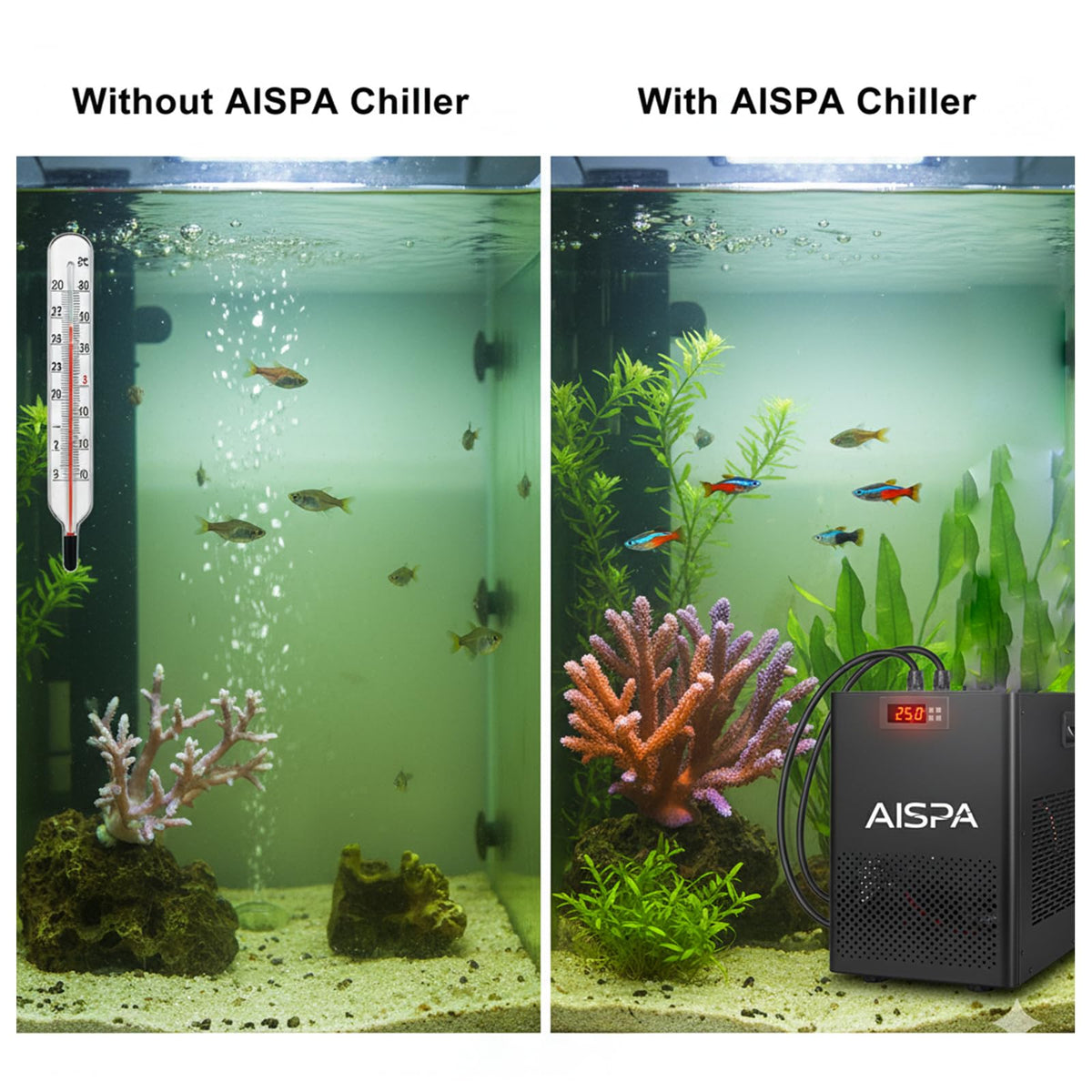 AISPA Aquarium Chiller 1/10 HP, 42GAL Fish Tank Water Chiller