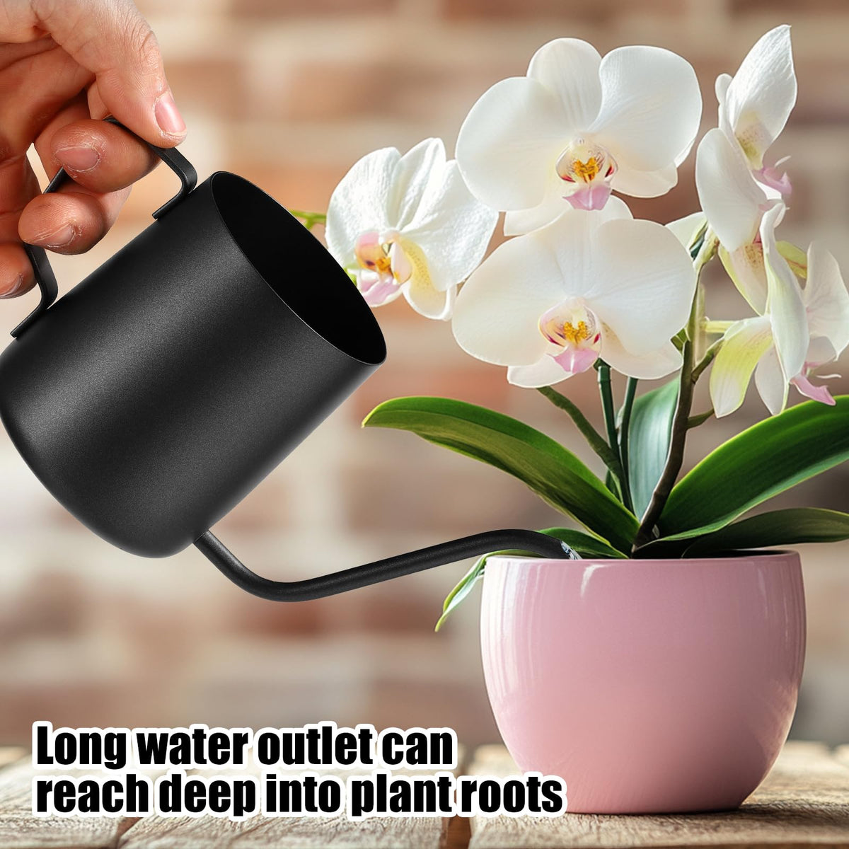 Plant Watering Can, 12 oz / 350 ml Stainless Steel Plant Watering Pot Small Watering Can with Long Spout for Indoor House Plants Flower Bonsai Outdoor Garden