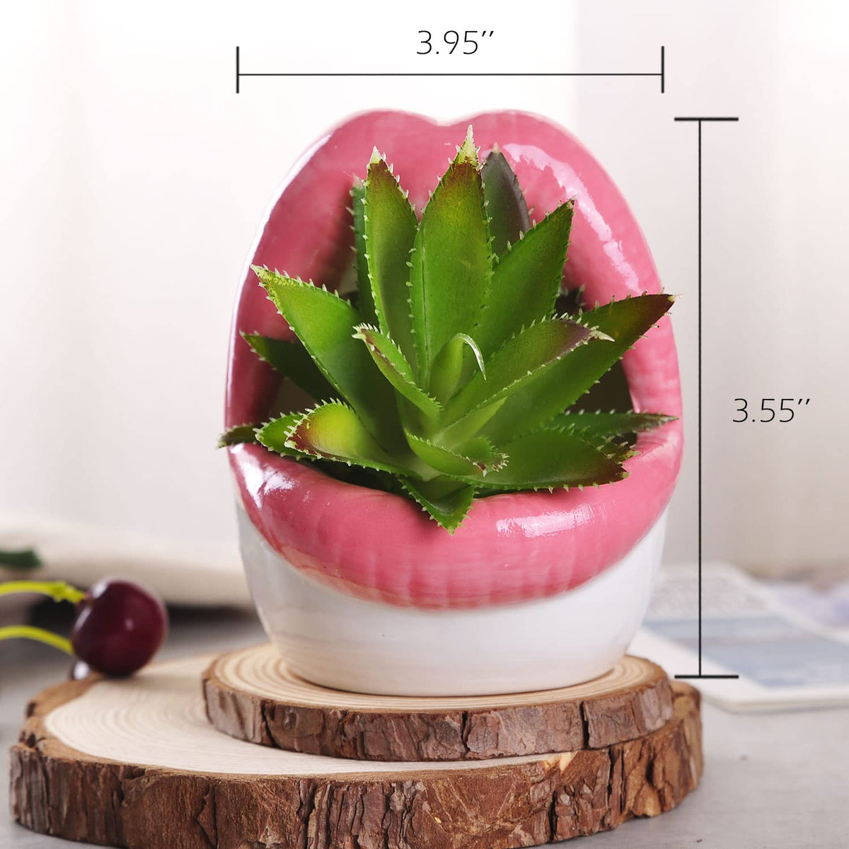 WHJY Sexy Lips Planter Pot, Ceramic Succulent Planter - Pink