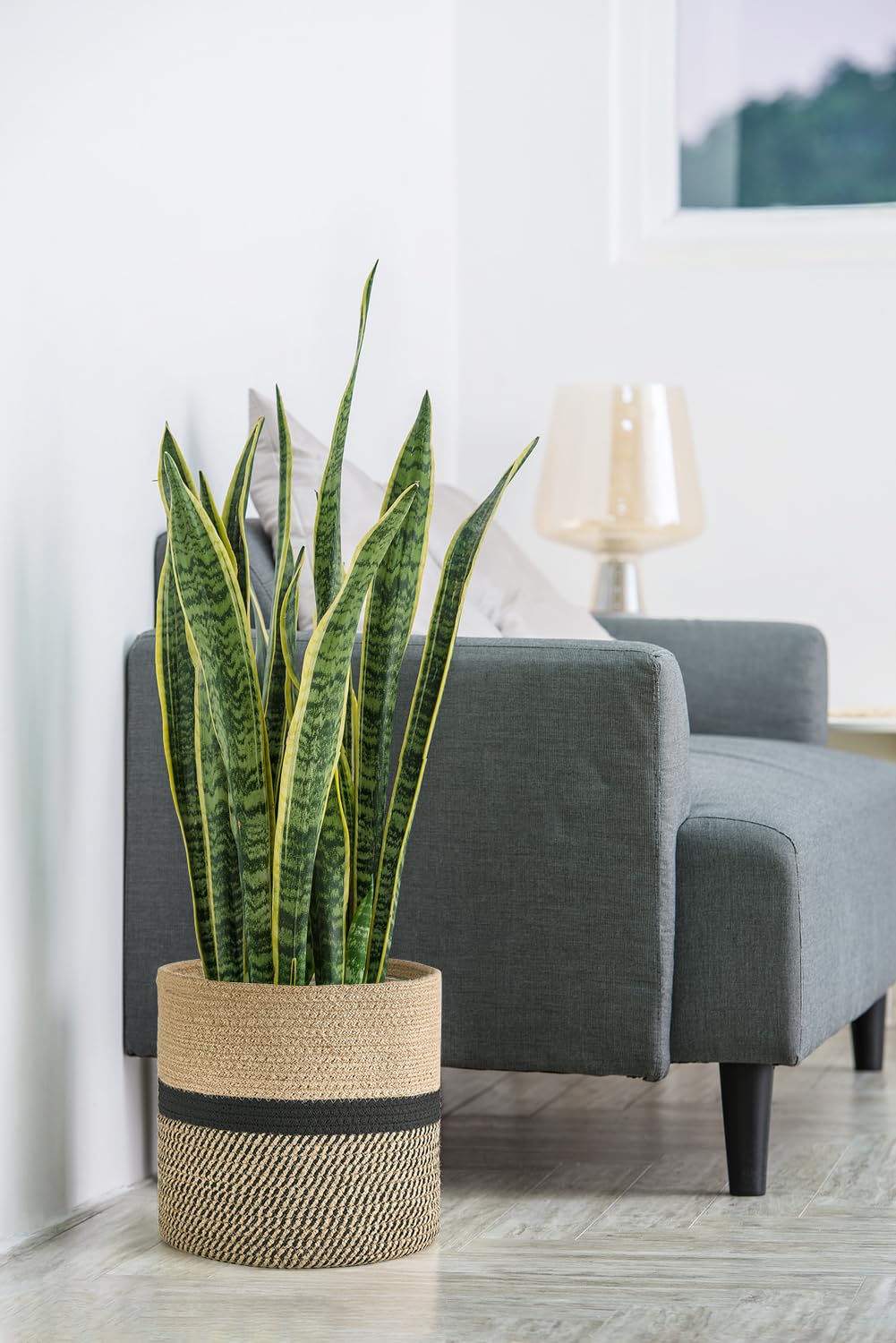 Dahey Jute Rope Plant Basket Modern Woven Storage Basket for 10.5" Indoor Planter, Decorative Flower Pots Cover Laundry Bin with Handle Rustic Home Decor, Black