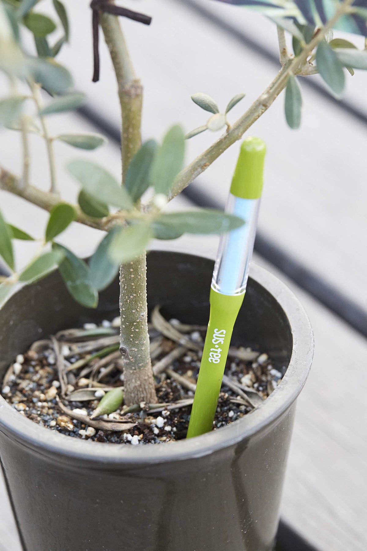 Sustee Aquameter, Set of 5, Plant Soil Moisture Sensor (Green, Small)
