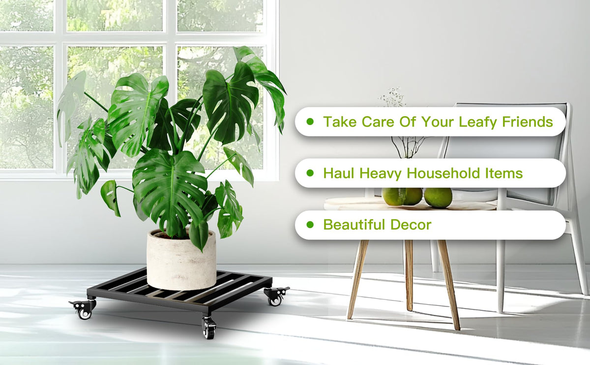 Zhongma 2 Pack 16" x16"x 3.5"H Square Plant Caddy with Wheels, Fully Assembled, Heavy Duty Construction, 300 Lbs Capacity, Load-Bearing Wheels with Brakes, No Installation Required