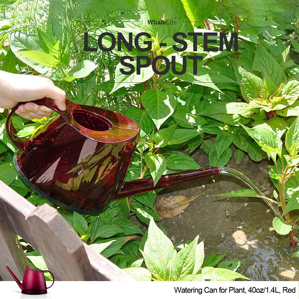 WhaleLife Indoor Watering Can for House Bonsai Plants (1.4L, Red)
