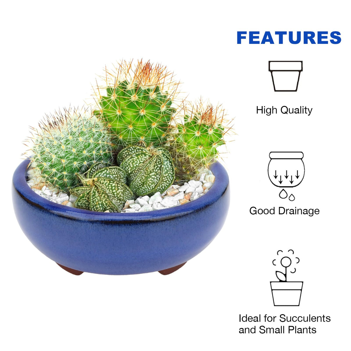 Bonsai Planter Succulent 4" Small Glazed Pots, Value Set of 2 + 4 Soft Mesh Drainage Screens
