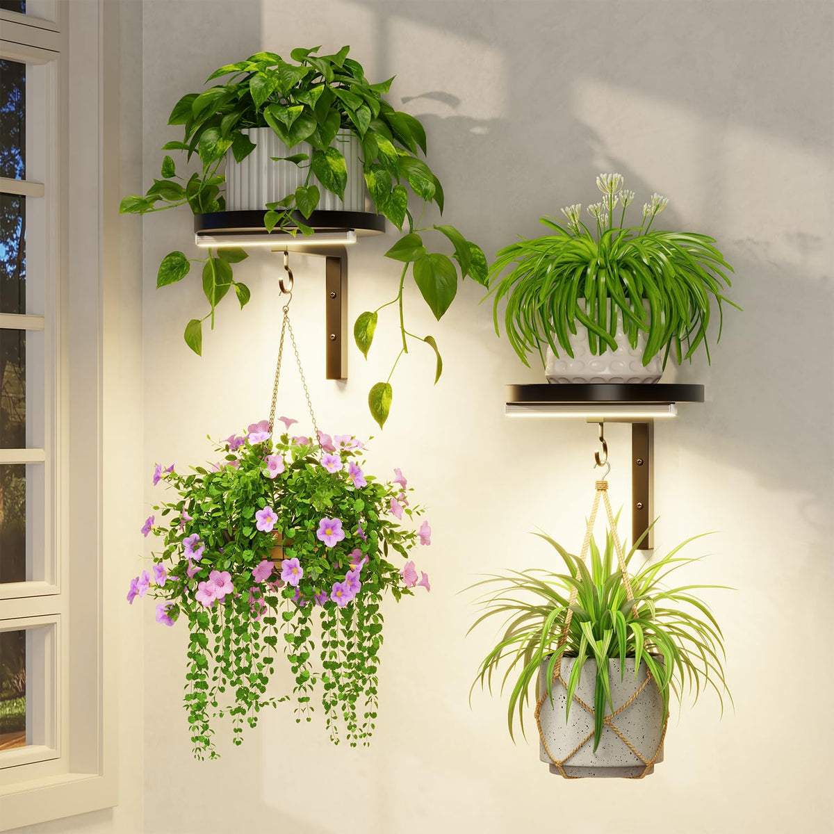 LASZOLA Plant Hangers Shelves Wall Mounted Indoor with Grow Lights, Metal Window Plant Holders, 2Pcs Modern Floating Flower Display Stand with 2 Hooks for Outdoor Kitchen Bathroom Decor, Black