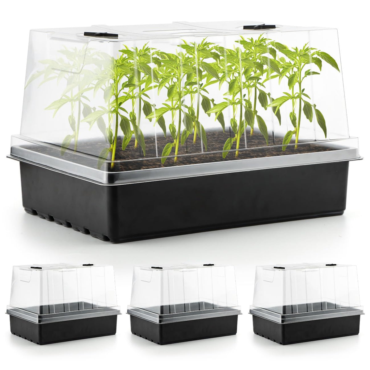 RooTrimmer 4-Pack Seed Starter Trays with 5'' Tall Humidity Domes – Reusable Plant Germination Kit for Microgreens, Herbs & Indoor Gardening | Clear Vented Lids, Fast Seedling Growth & Durable Design