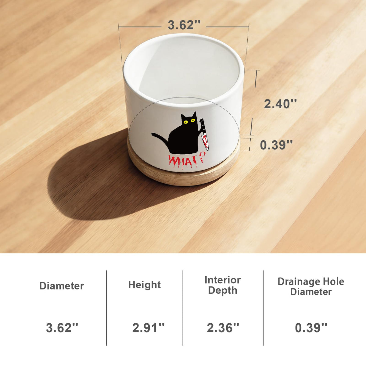 Funny Hello Black Cat Ceramic Plant Pot for Succulent, Cute Cat Cactus Flower Planter for Windowsill Indoor Decor, Home Office Decoration for Plant Lovers Friends Owner Lover (No Plants) (What)