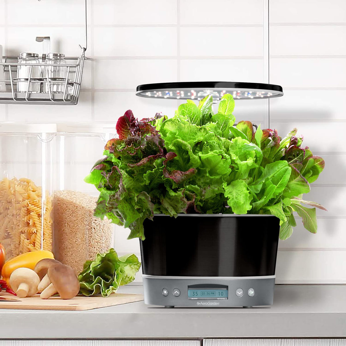 AeroGarden Harvest Elite 360 Indoor Garden Hydroponic System with LED Grow Light and Herb Kit, Holds up to 6 Pods, Platinum