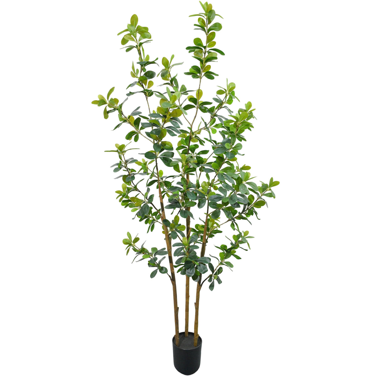 ZSENENT Fake Trees Premium 3 Main Trunks 5 ft Faux Black Olive Tree, Realistic Olive Trees Artificial Indoor, Low-Maintenance, Ideal Artificial Tree for Home Office Décor (Green, 5 FT)