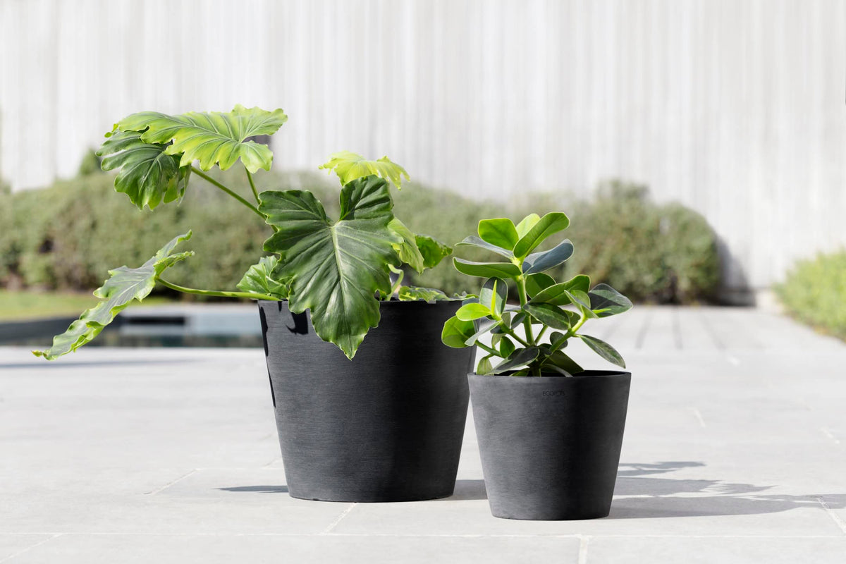 Ecopots Amsterdam Durable Modern Round Indoor/Outdoor Recycled-Based Composite Flower Pot Planter, Dark Grey, 8"