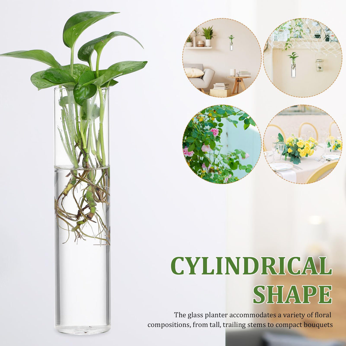 SILENRADAWN Cylinder Glass Wall Vase Set 2pcs Hanging Hydroponic Flower Tube Vases for Indoor Plants Wall-Mounted Plant Holders Decorative Terrarium Containers for Home and Office