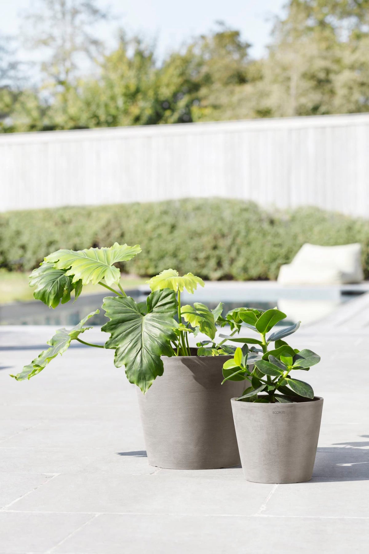 Ecopots Amsterdam Durable Modern Round Indoor/Outdoor Recycled-Based Composite Flower Pot Planter, Taupe, 8"